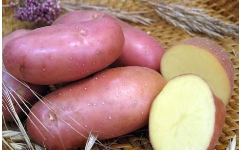 Фото 2. Продам картошку в больших обьемах