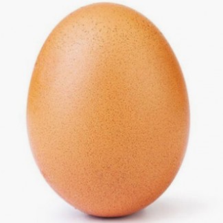 Продаем яйцо кур