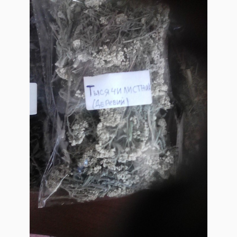 Фото 2. Продаем травяные зборы трав для чая