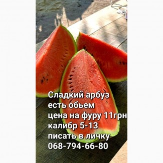 Продам сладкий арбуз 5-13 калибр