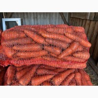 Товарна морква, гарної якості, від 1тони