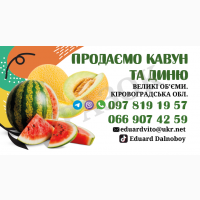 Продаємо кавуни та дині