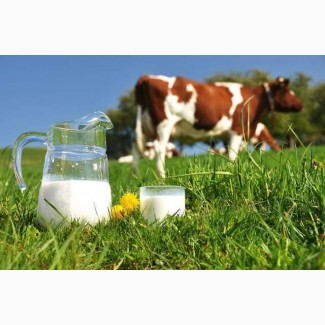 Молоко сухое цельное 26%