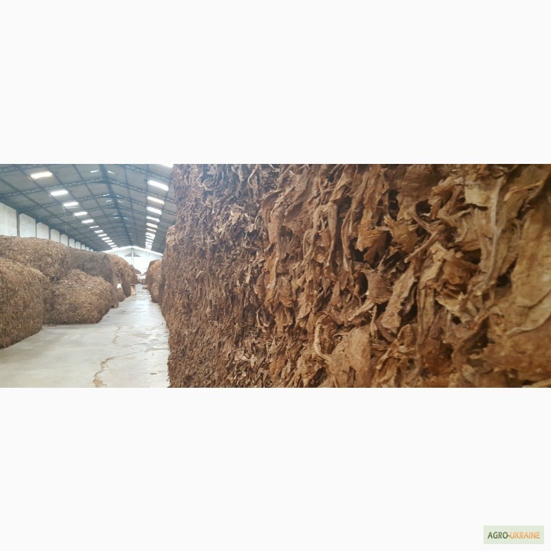 Фото 3. Табак Листовой Оптом от 20 тонн из Индонезии – Jatim VO; Scrap; ферментированный 2015-16