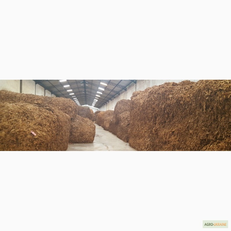 Фото 6. Табак Листовой Оптом от 20 тонн из Индонезии – Jatim VO; Scrap; ферментированный 2015-16