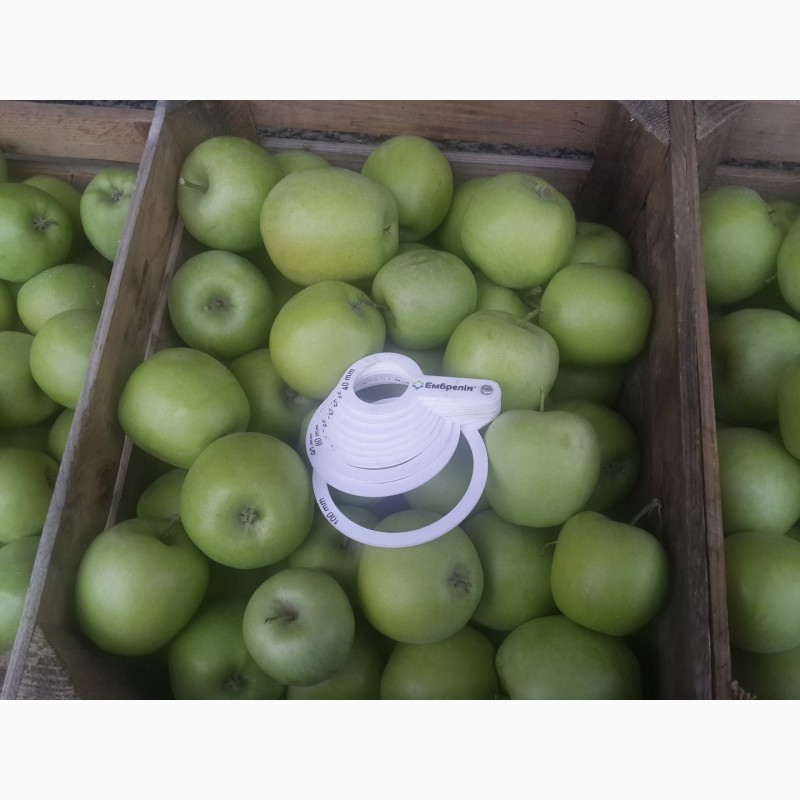 Фото 2. Продам яблука сорту муцу, чемпіон-рено, пінова, фуджі.урожай 2017