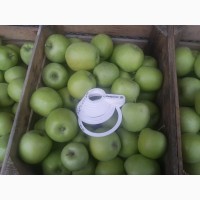 Продам яблука сорту муцу, чемпіон-рено, пінова, фуджі.урожай 2017