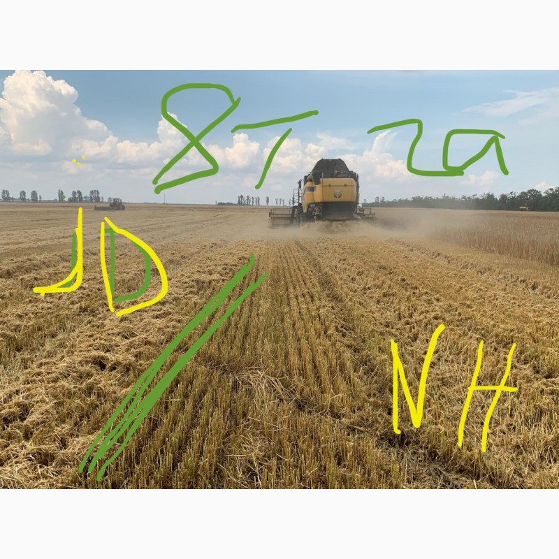 Фото 5. Уборка урожая пшеницы, аренда Комбайнов Конотоп, Бурынь