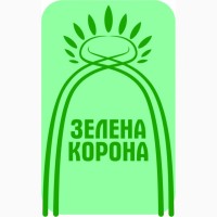 Живе плетене дерево Зелена Корона (датське коріння)