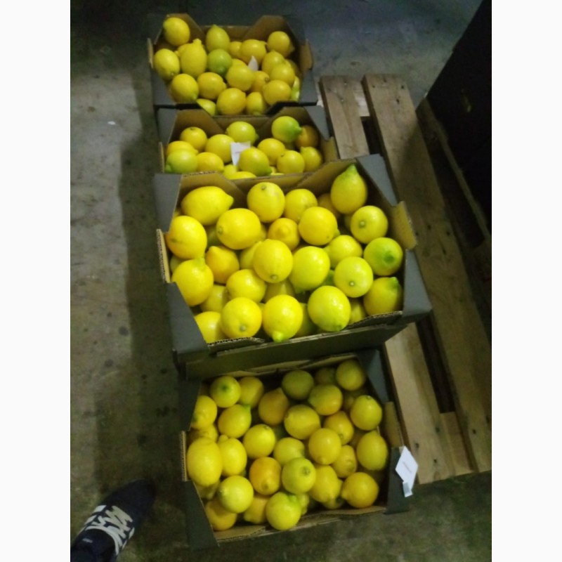 Продаём апeльсины, мандарины, лимоны