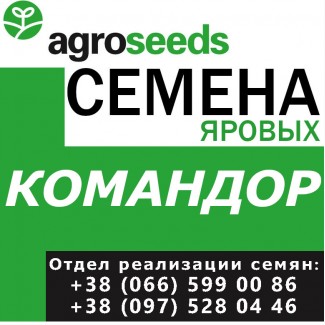 Элитные семена. Ячмень Командор. Семена от производителя