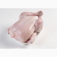 Production of chicken meat for export
