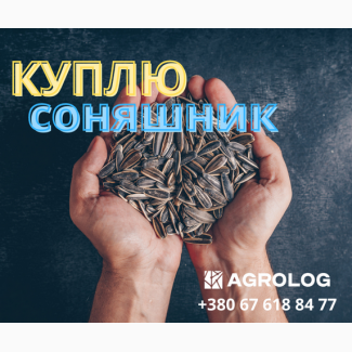 Купуємо смугастий соняшник