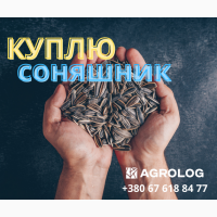 Купуємо смугастий соняшник