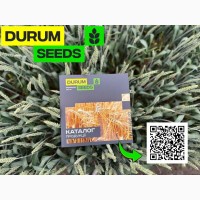Насіння пшениці Durum Seeds. Сорт БГ Логіка - Оригінатор Biogranum (Сербія)