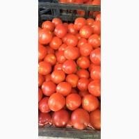 Продам помідори солероссо с поля