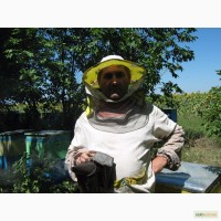 Пчелы, пчелопакеты, пчелосемьи, продам в 2017г