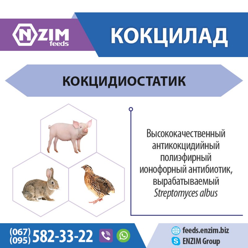 Фото 3. Кокцилад - Антибиотик для животных и птицы