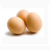 Яйца для инкубации кур яично-мясной породы Фокси Чик