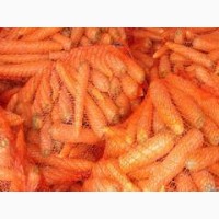 Продам морковь свежий чистый