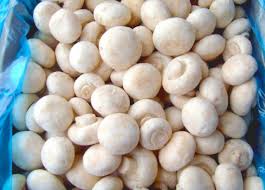Продаем качественные грибы шампиньоны свежие чистые светлые размер 2-3-4