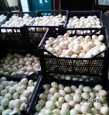 Фото 2. Продаем качественные грибы шампиньоны свежие чистые светлые размер 2-3-4