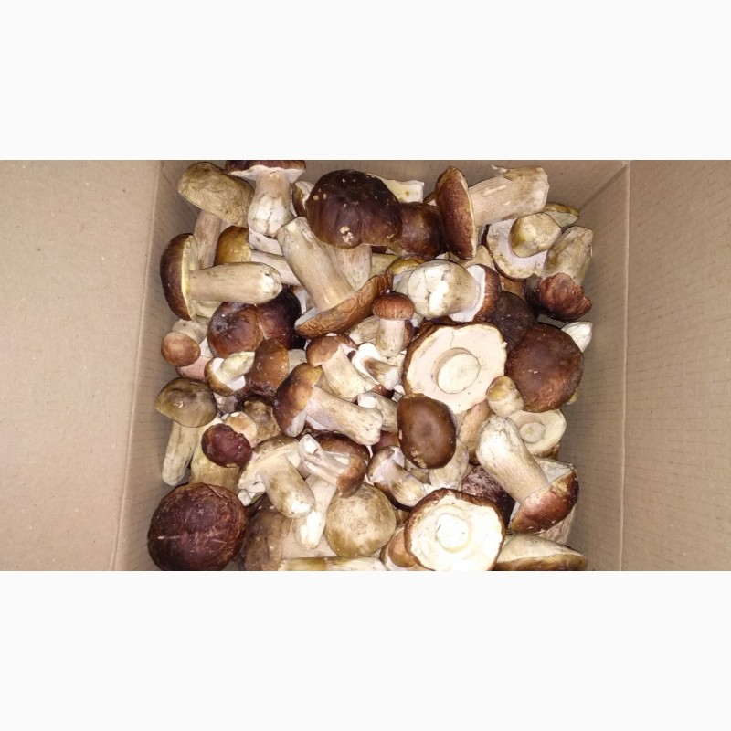Фото 2. Белые грибы замороженные (целые, В/с, 1-й сорт 2-й сорт)