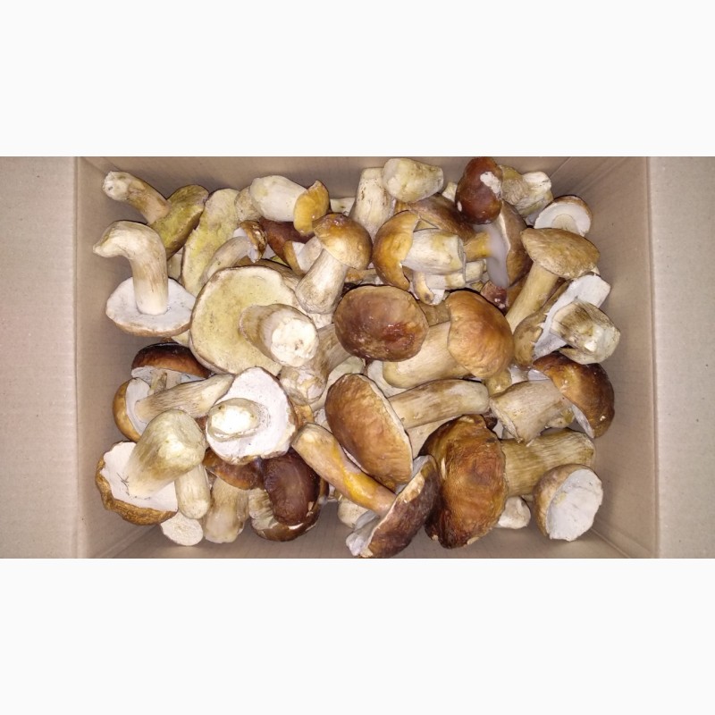 Фото 3. Белые грибы замороженные (целые, В/с, 1-й сорт 2-й сорт)