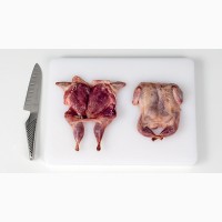 М#039;ясо перепелів (несучка 6-9 місяців) мясо перепела в роздріб та опт