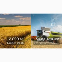 Господарство 12 000 га, Кіровоградська область