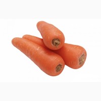Куплю Морковь на бюджет в БН