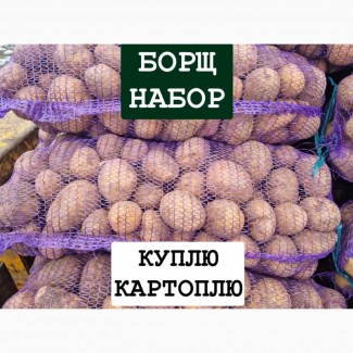 Куплю Картоплю ОПТ Україна