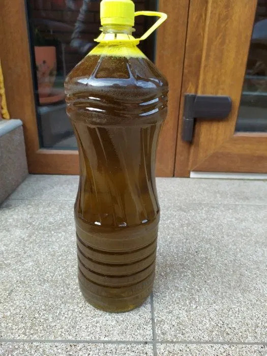 Фото 3. Ріпакова олія, рапсовое масло холодного віджиму