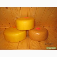 Продам твёрдый сыр домашнего производства
