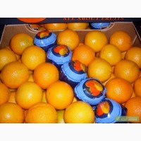 Греческая компания предлагает цитрус от производителя.Апельсины и мандарины из Греции