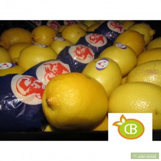 Лимон enterdonato (Турция)