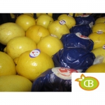 Лимон enterdonato (Турция)