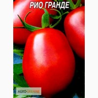 ПРОДАМ ПОМИДОР, Николаевская область