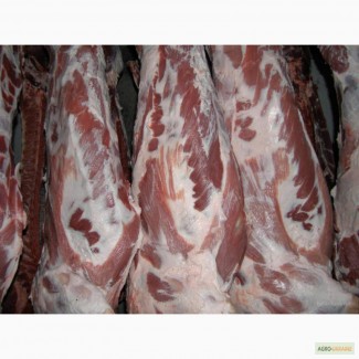 Продам мясо Свинина и Говядина – Полутуши, Блочка, Разделка . хорошая цена и качество Киев
