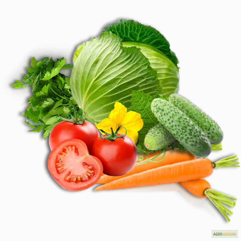 Качественные семена овощей