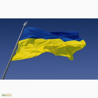 Прапор України, середній, розмір: 120х80 см
