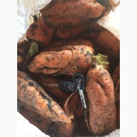 Продам морковь Аабко ( крупная)