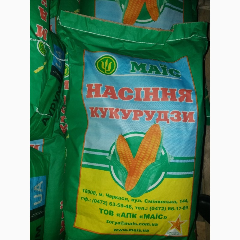 Продам гібрид кукурузи ПЛАТИНУМ (2018 р.)