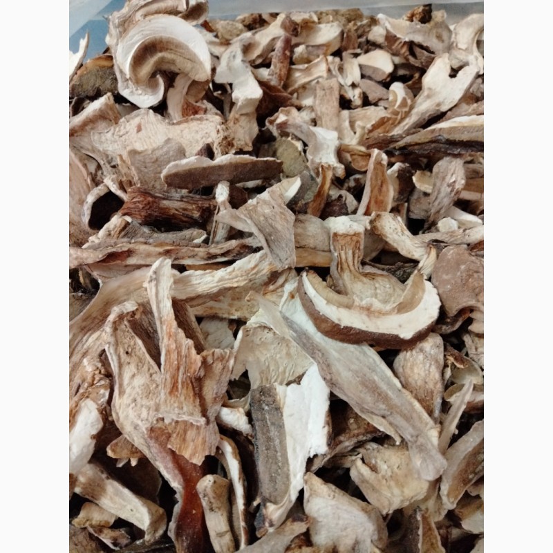 Фото 2. Продам сушені білі гриби (белые сушеные грибы)