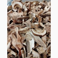 Продам сушені білі гриби (белые сушеные грибы)