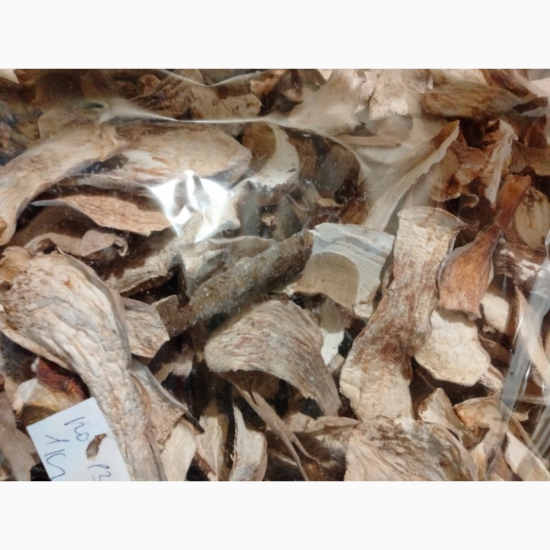 Фото 3. Продам сушені білі гриби (белые сушеные грибы)
