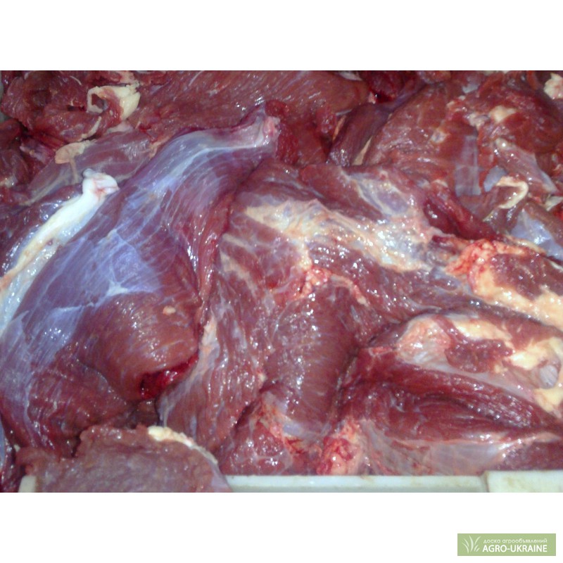 Фото 2. М'ясо говядини блочне