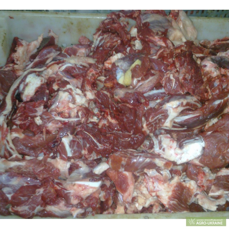 Фото 3. М'ясо говядини блочне