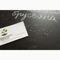Малина ремонтантная Брусвяна семена (20 шт) насіння + инструкция + подарок