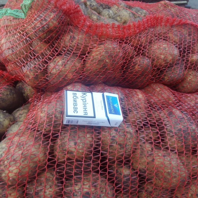 Фото 3. Продам товарный картофель сорт Королева Анна
